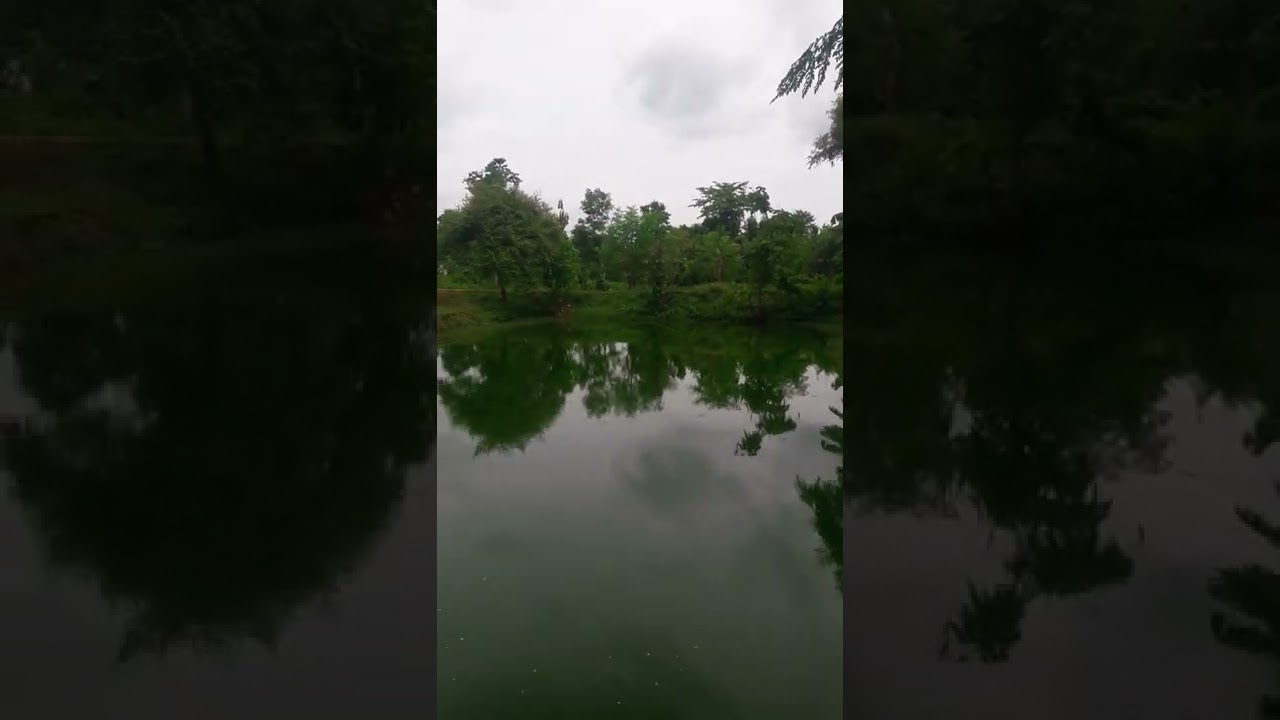 clean  water river