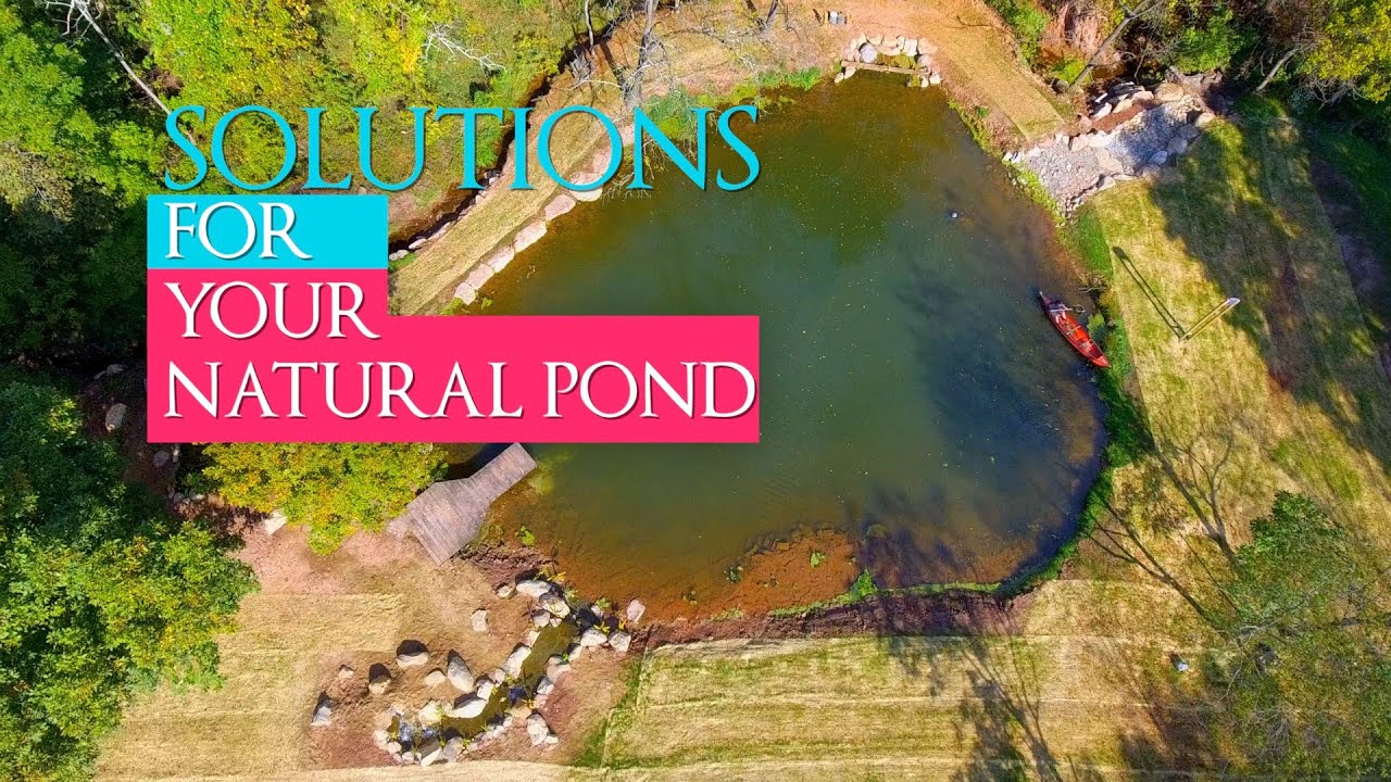 Solutions for your Natural Pond