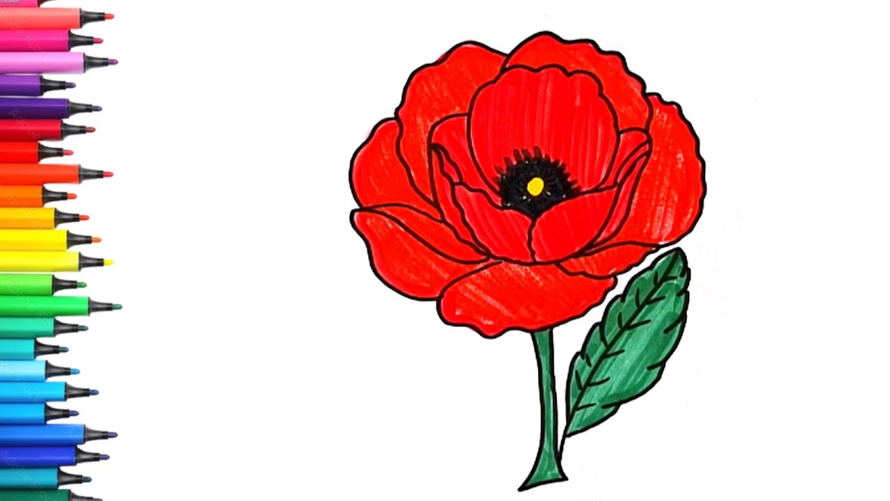 How to draw poppy flower | poppy for Remembrance Day | how to draw poppy flower step by step