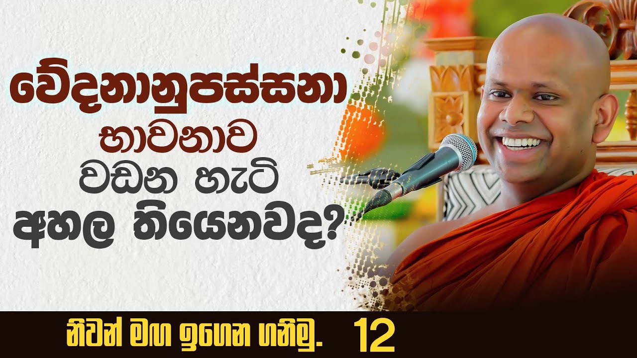 වේදනානුපස්සනා භාවනාව වඩන හැටි අහල තියෙනවද? | Venerable Welimada Saddaseela Thero