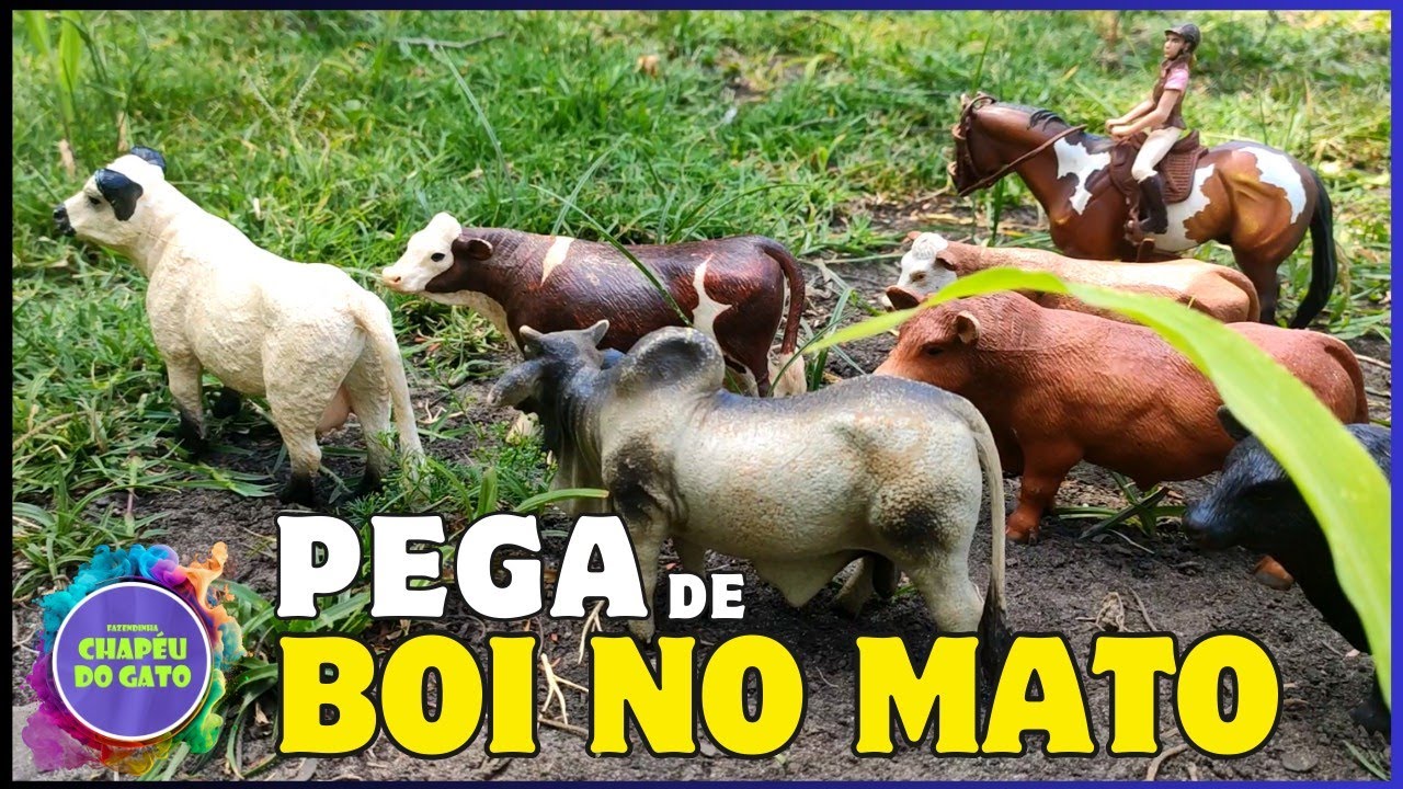 INCRÍVEL   Novo Pega de Boi no Mato