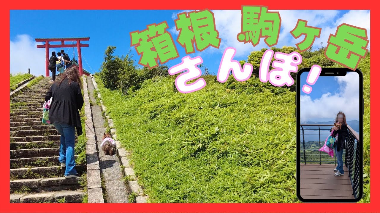 「小さなヨーキーと箱根散歩｜箱根園からロープウェイで駒ヶ岳へ！絶景と富士山を楽しむ旅」