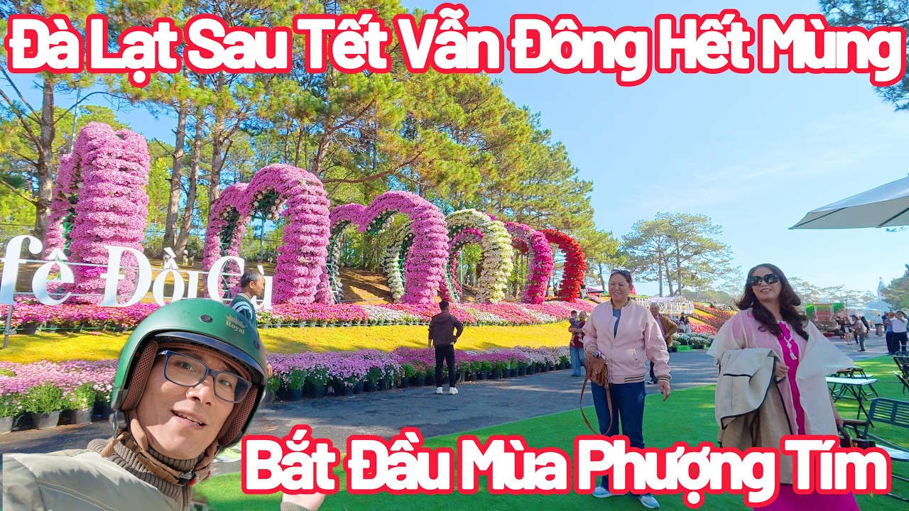 Đà Lạt Sau Tết Còn Đông Vui, Mùa Phượng Tím Lễ Đang Đến