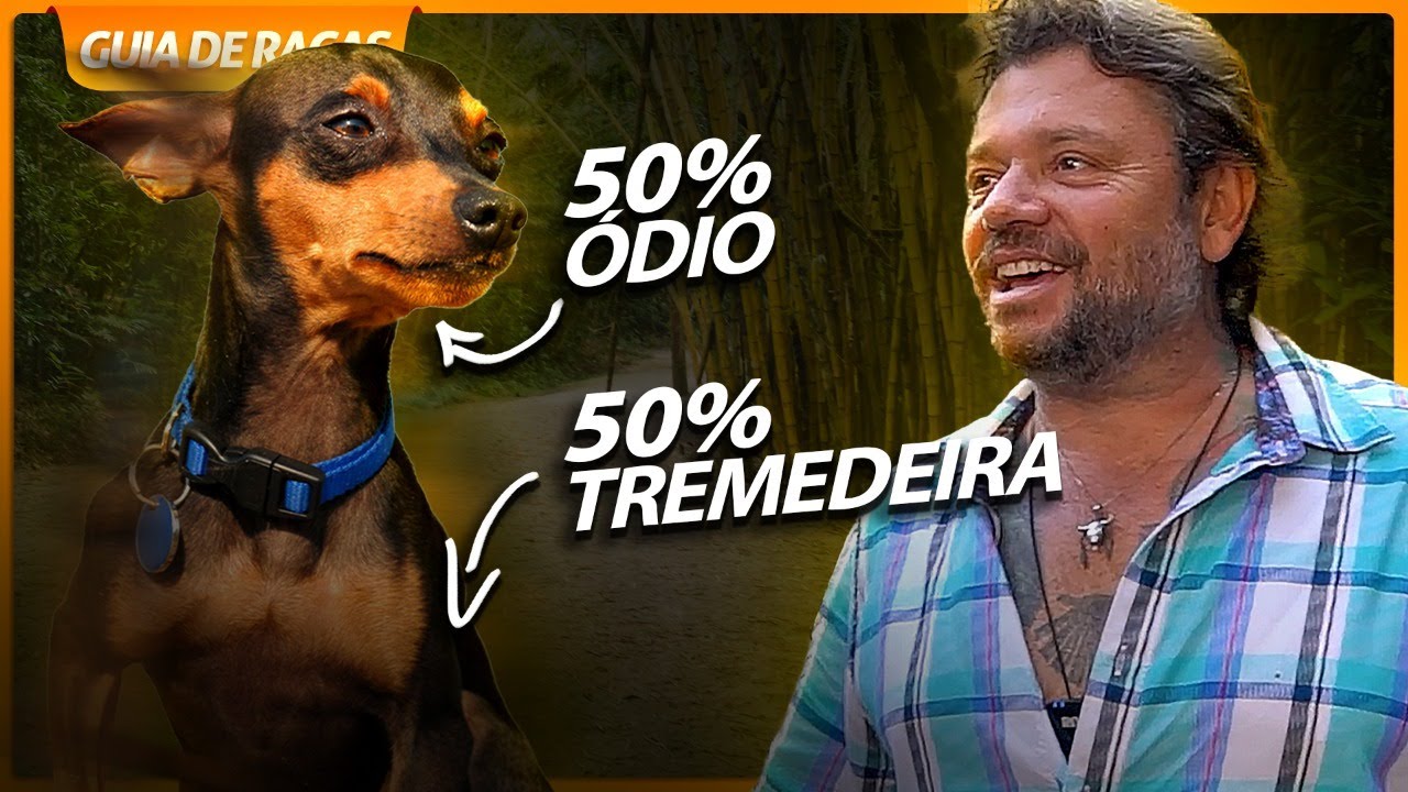 TUDO SOBRE A RAÇA PINSCHER! | RICHARD RASMUSSEN
