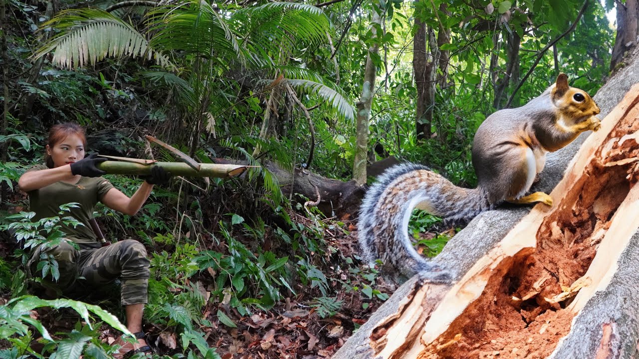 Discovered squirrels eating fruit, making crossbows to hunt, survival alone