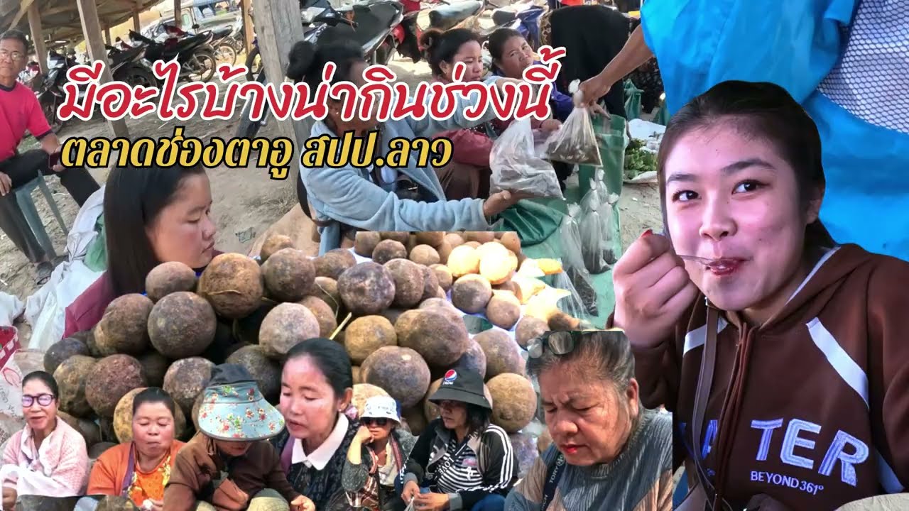 ตลาดช่องตาอู สปป.ลาว #ช่วงนี้อาหารป่าเยอะเยอะ