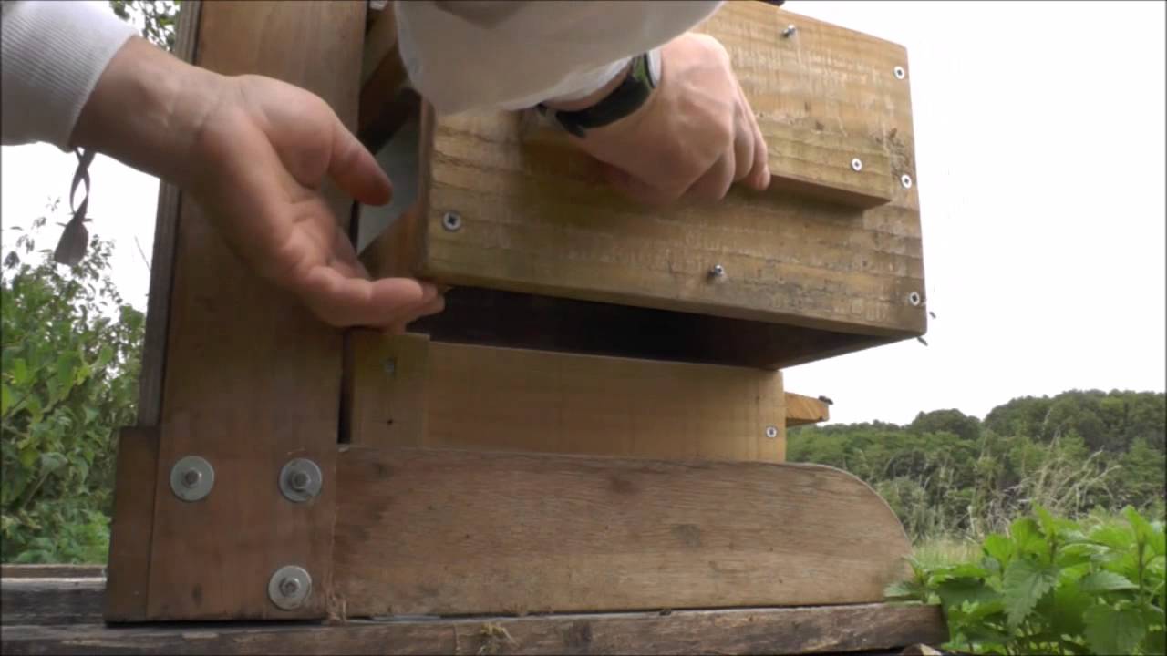Ruche Warré sa conduite