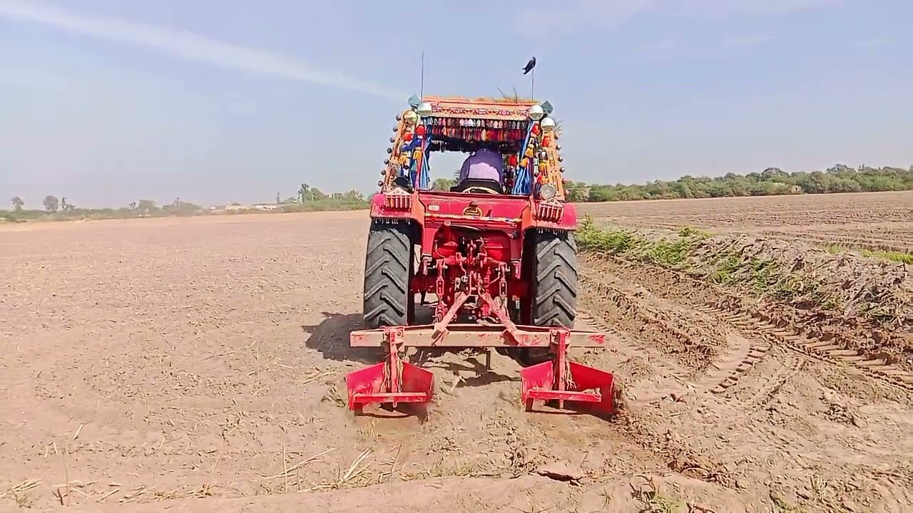 Cotton kay fasal ki taiyari  #farming #villagefarming #villagelife #viral #shorts 