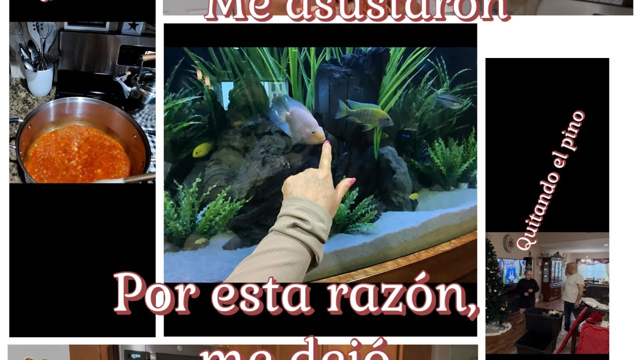 muy triste, me dejó 😔 qué pasó me ⁉️asustaron😳 limpieza ‼️y cocine algo rico ￼😋