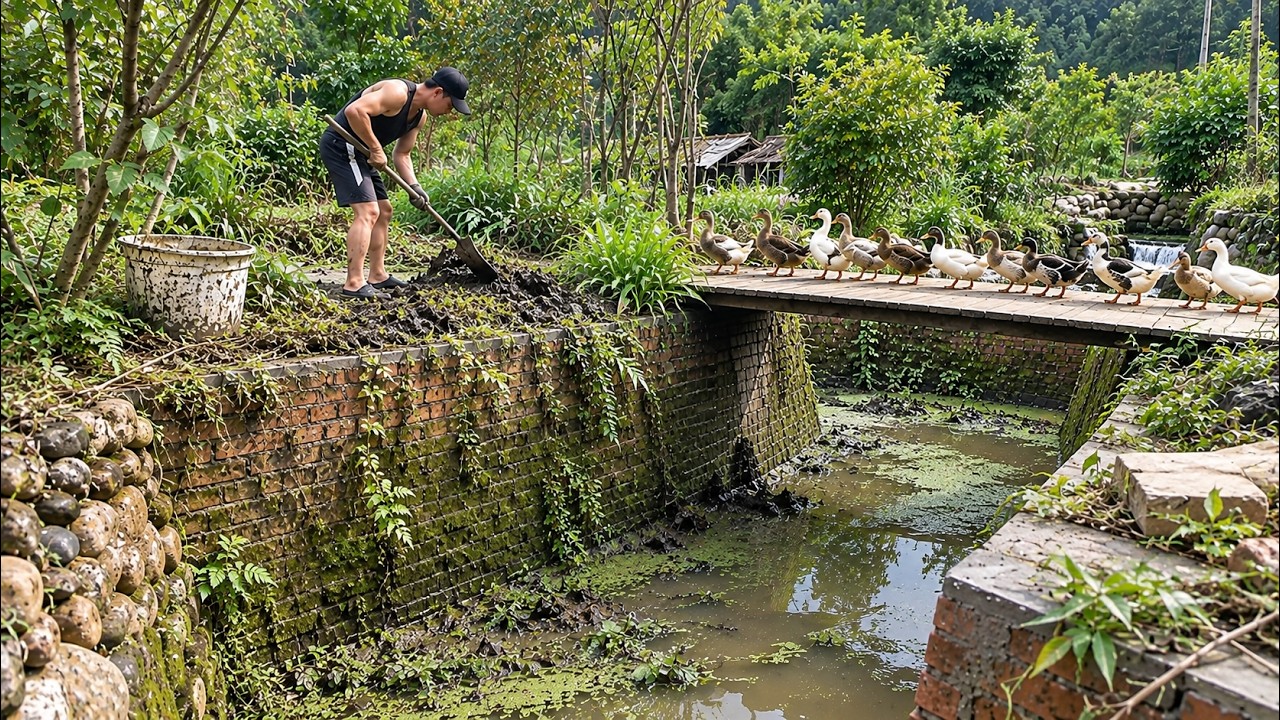 An Unemployed Man Transformed an Abandoned Ditch Into a Beautiful Artificial River Right in Garden