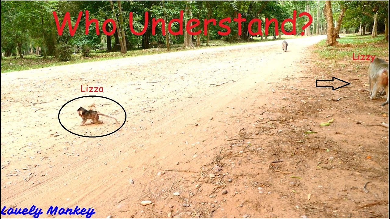 MG! That's Not Harmful But The Great Time For Baby Lizza Learn To Walk More & More Without Mom Help.