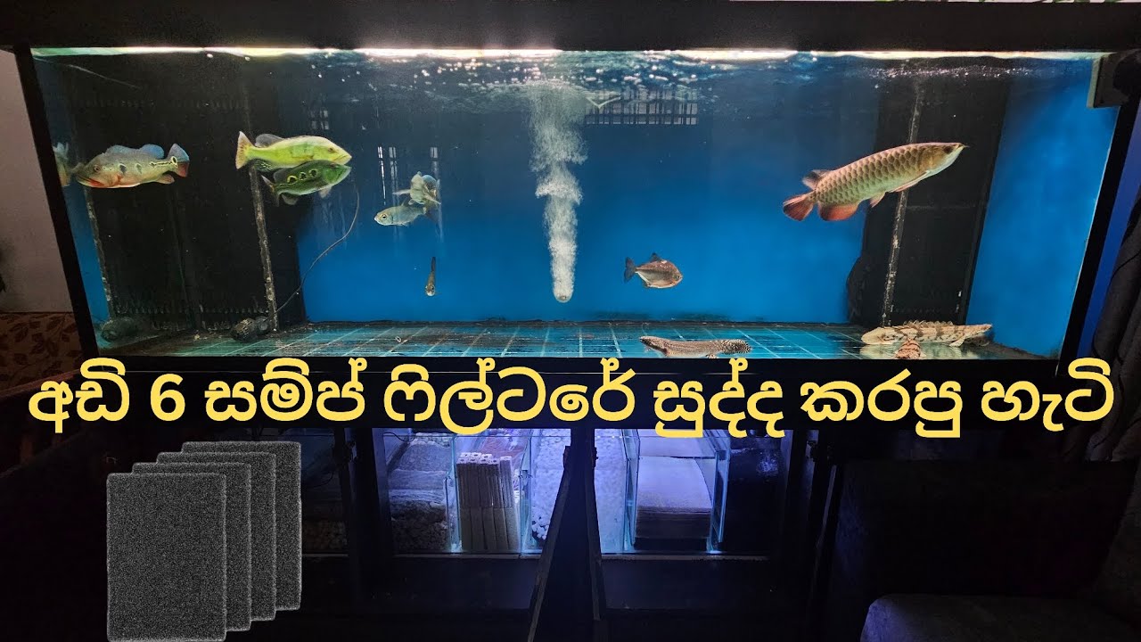 How to clean a 6 feet long bottom sump | සම්ප් එක පිරිසිදු කරපු හැටි