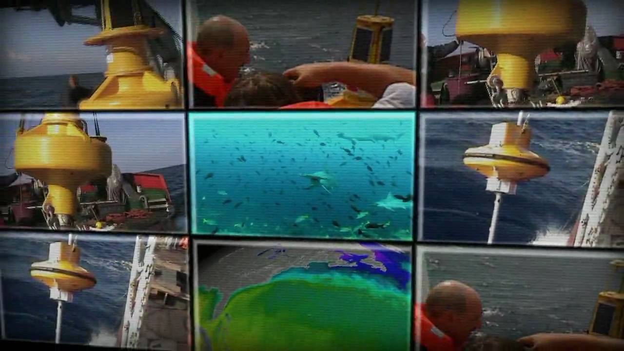 Envirtech Data Buoys