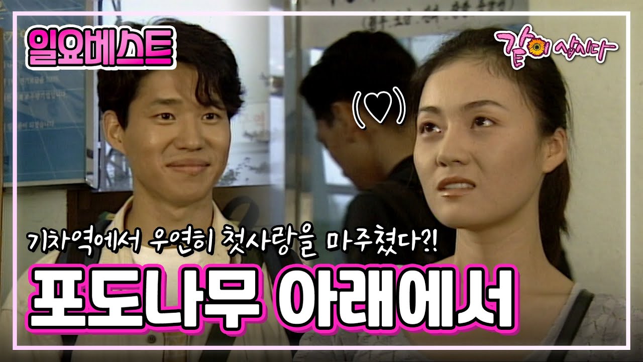 [일요베스트] 포도나무 아래에서|강민경 유준상 김정난 최준용 전운 최정원 KBS 1998.09.20. 방송