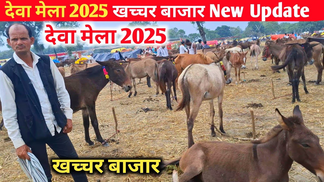 देवा मेला 2025 खच्चर बाजार New Update |Deva Mela Horse Market |Deva Mela 2025