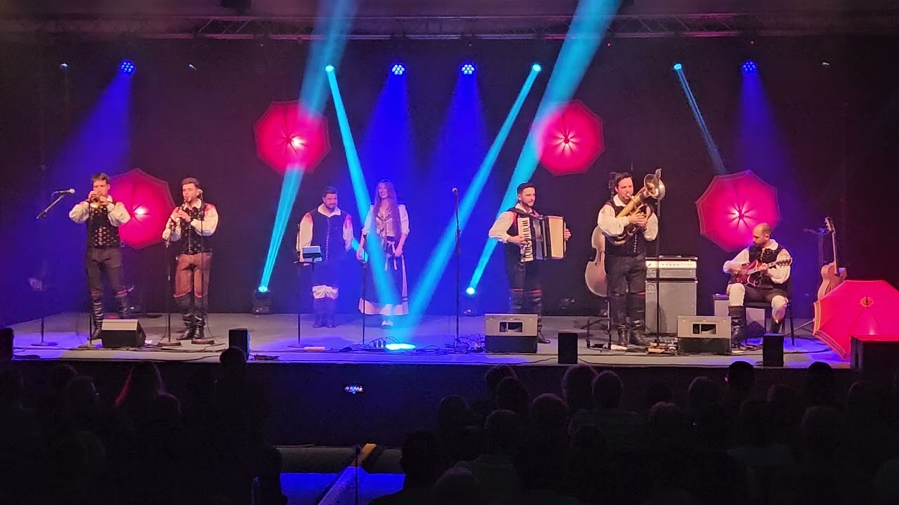 Ansambel Saša Avsenika - Za tvoj praznik (Šentilj)