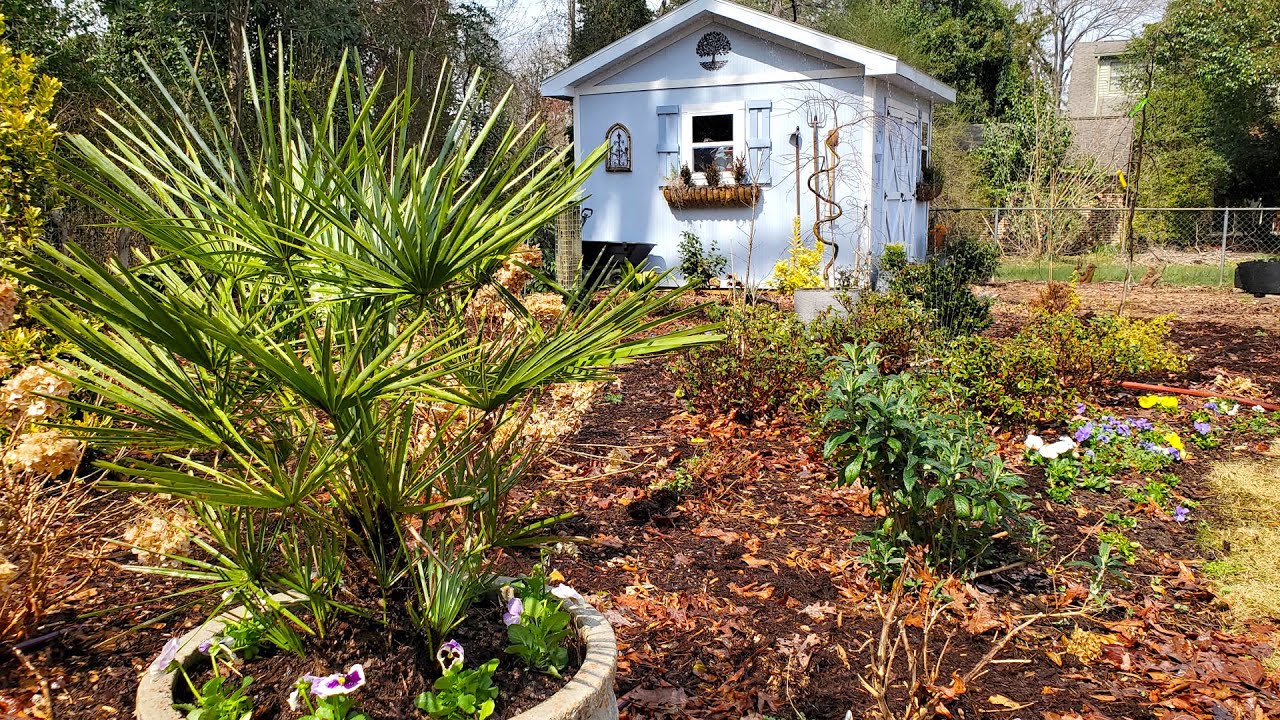 March Garden Tour