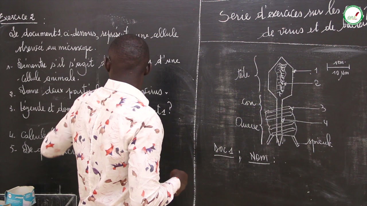 Exercices - Première L - SVT : Cas particulier de virus et de bactéries / Suite 1 / M. Beye