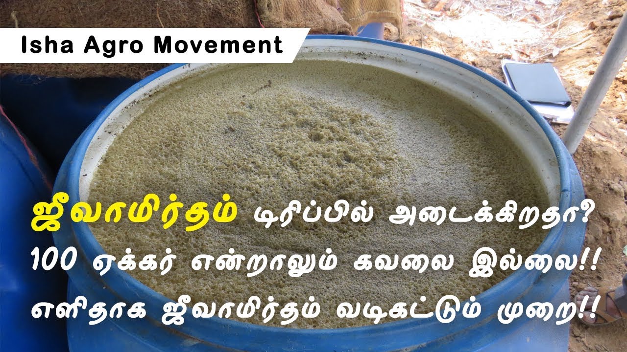 சொட்டுநீர் பாசனத்தில் ஜீவாமிர்தம் கொடுக்கும் முறை_Jeevamrutham through drip irrigation