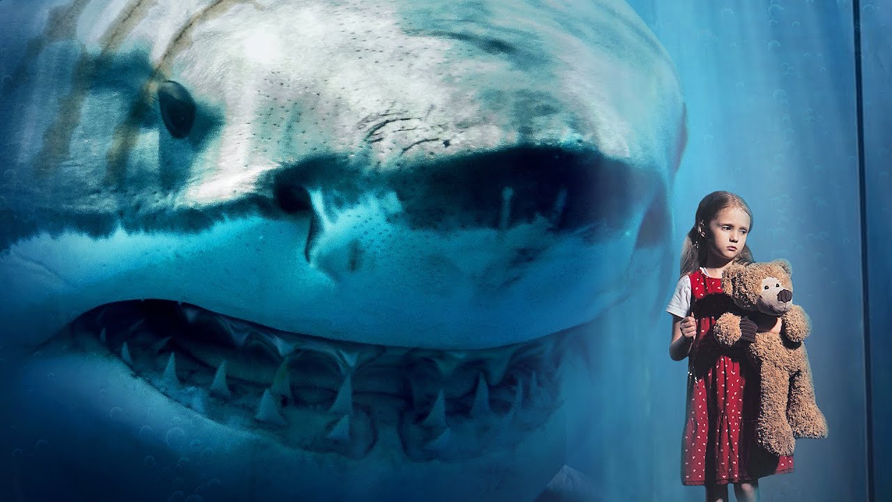 Dünyanın Her Yerinde Megalodonlar Görüldü