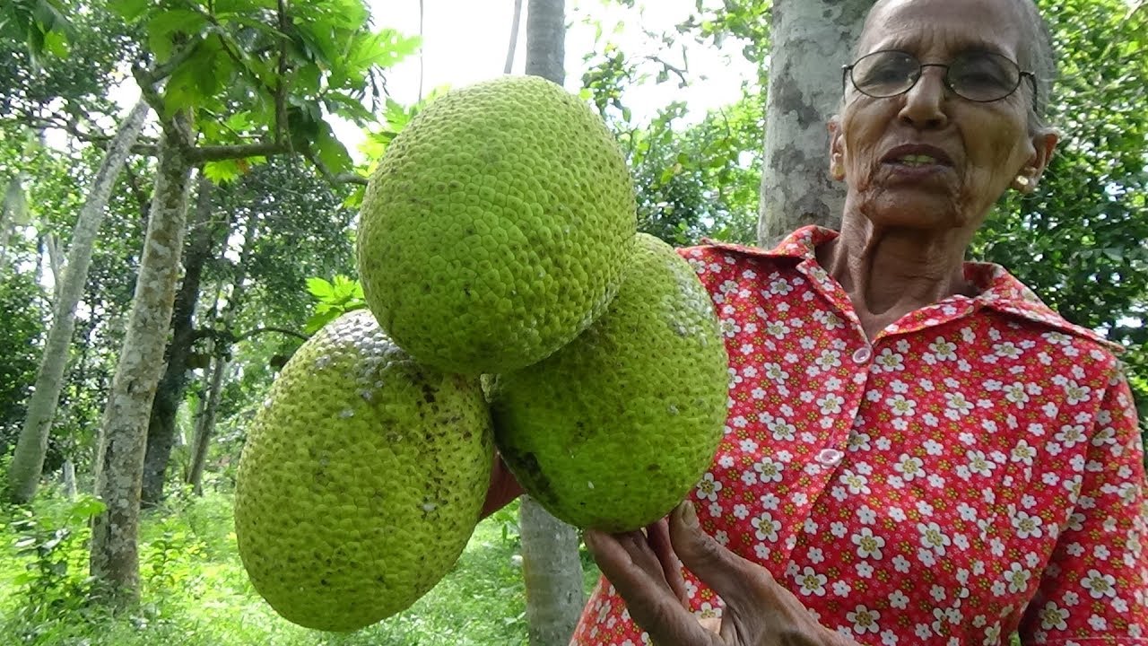 Amazing Sweet Recipe prepared from Breadfruit by Grandma in my Village | Village Food