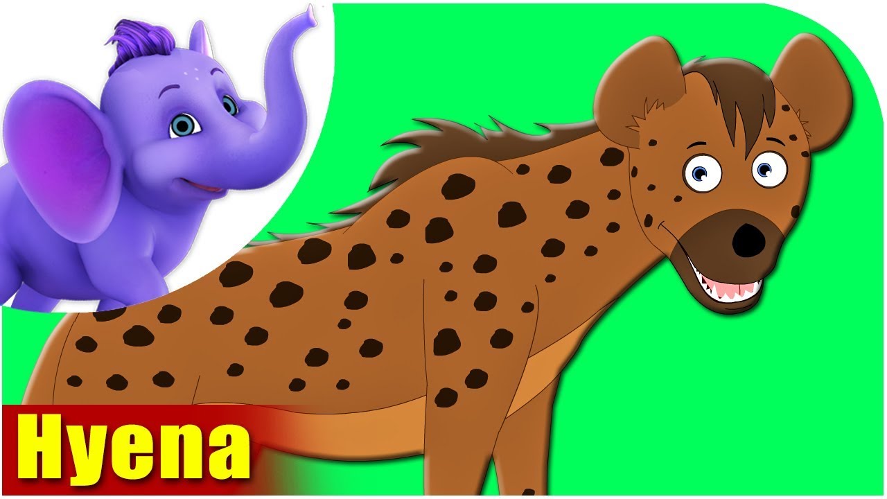 Hyena - Animal Rhymes in Ultra HD (4K)