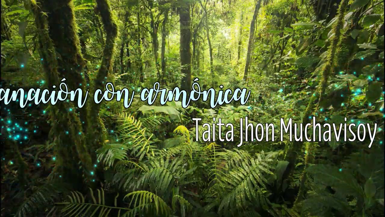 Música de Medicina: 🌿 Sanación con Armónica 🎶 | Taita Jhon Muchavisoy ✨