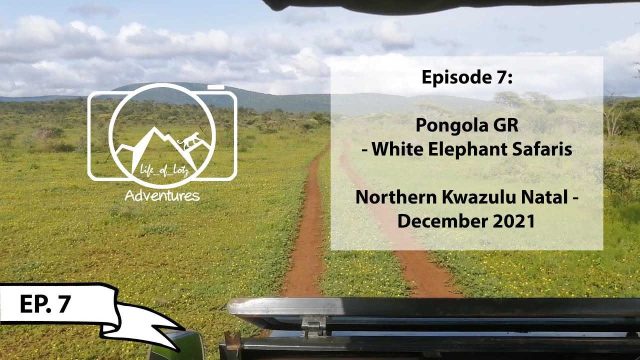 Northern Kwazulu-Natal - Episode 7: Game Drive at Pongola GR