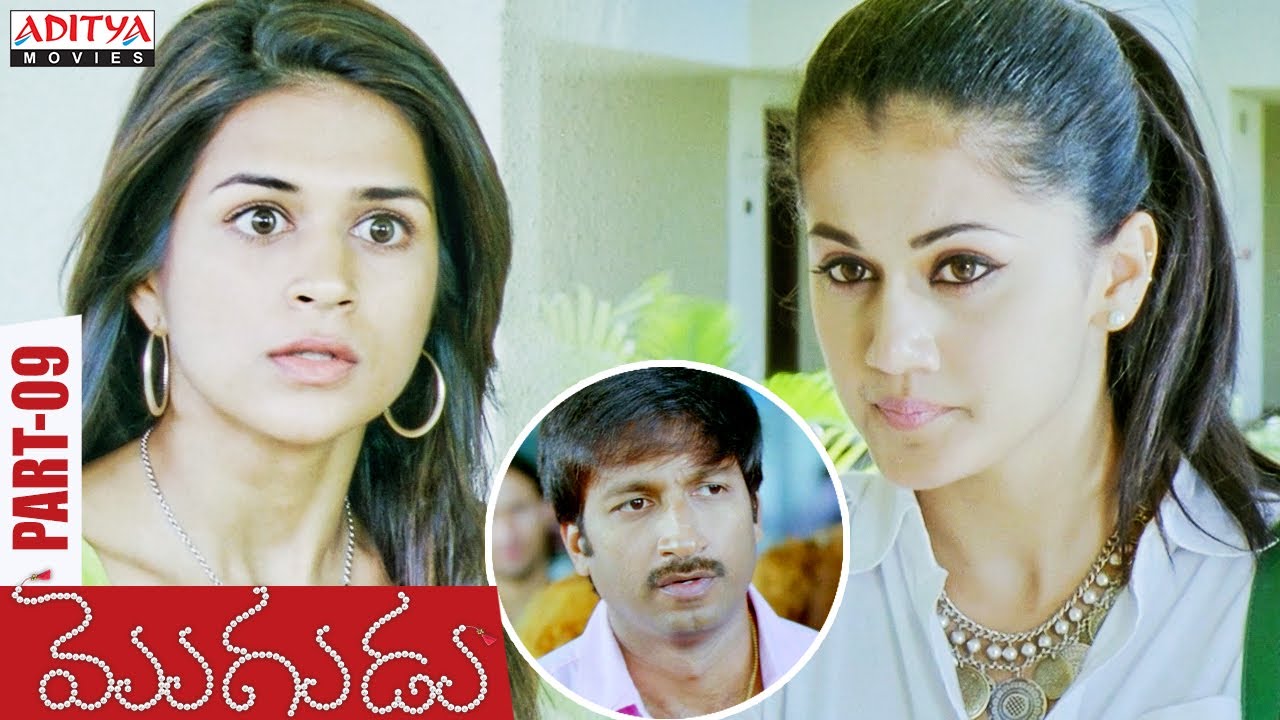 Mogudu Latest Telugu Movie Part 9 || Gopichand, Taapsee || Superhit Telugu Movies || Aditya Movies