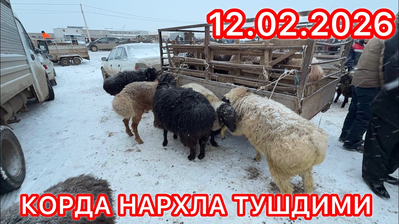ЭЛЛИККАЛА БУСТОН КУЙ БОЩОР НАРХЛАРИ 