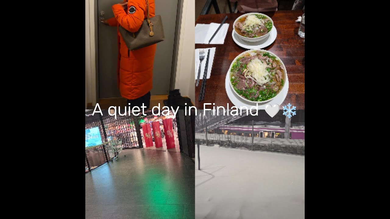 Silent Vlog in Finland | Helsinki Day Trip (Bus + Train) + Cosy Night