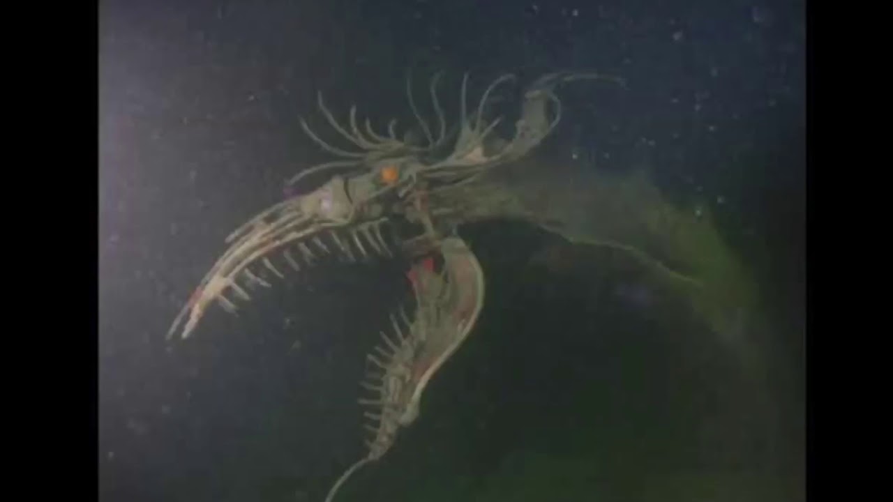 Submechanophobia images and videos compilation.