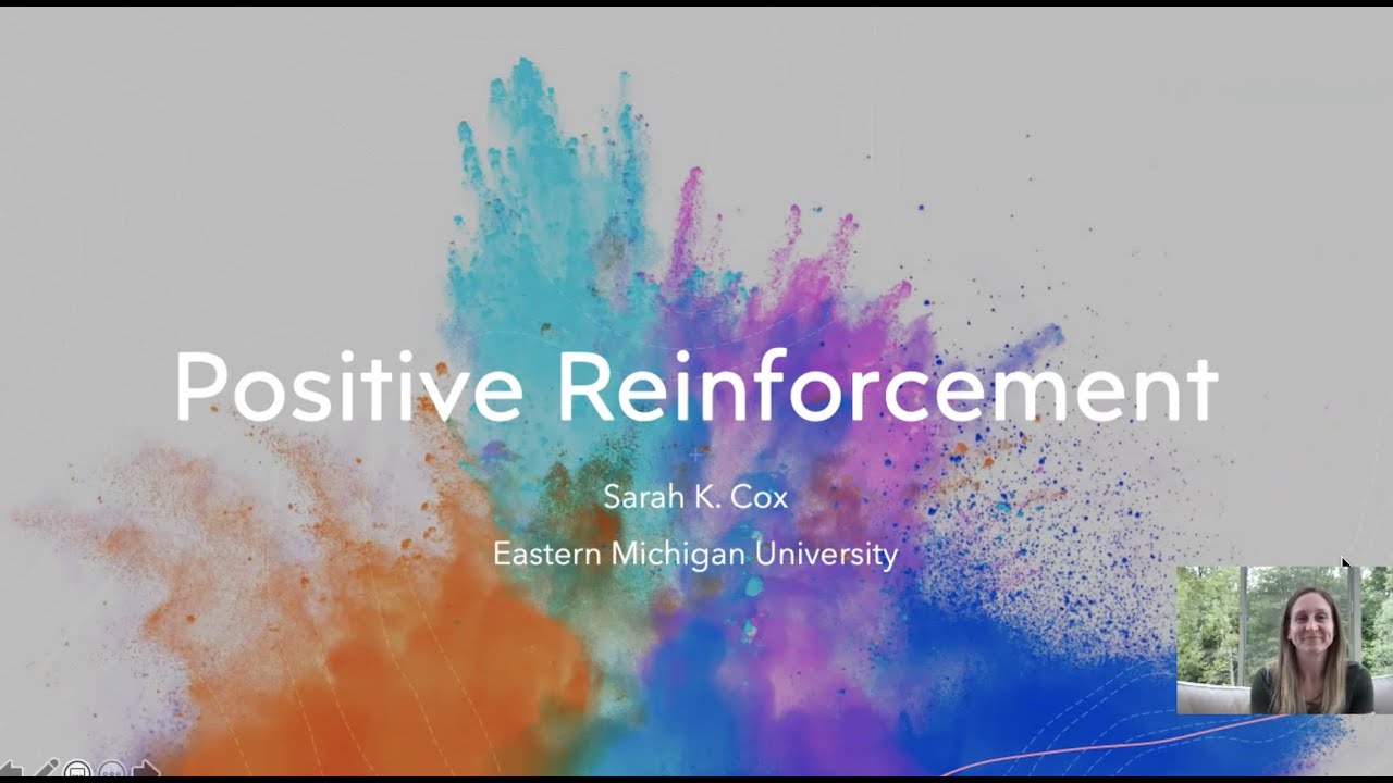 Reinforcement