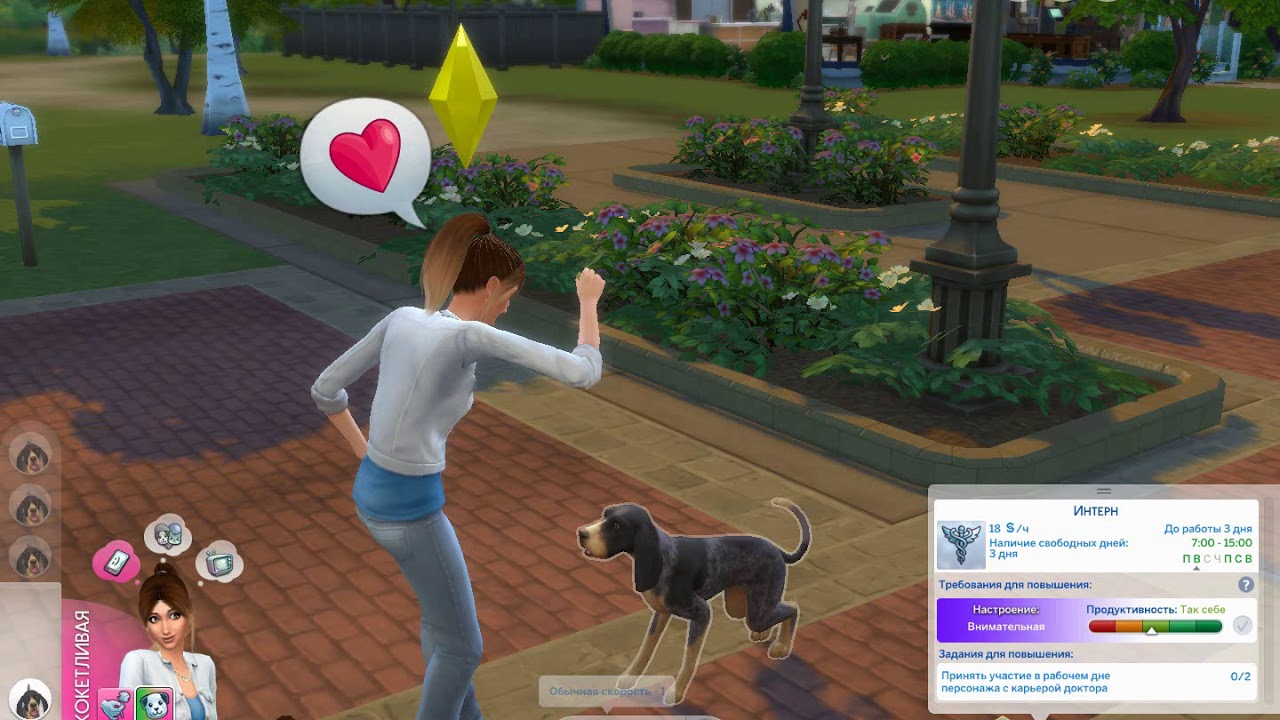 Как приручить бездомных животных в THE SIMS 4