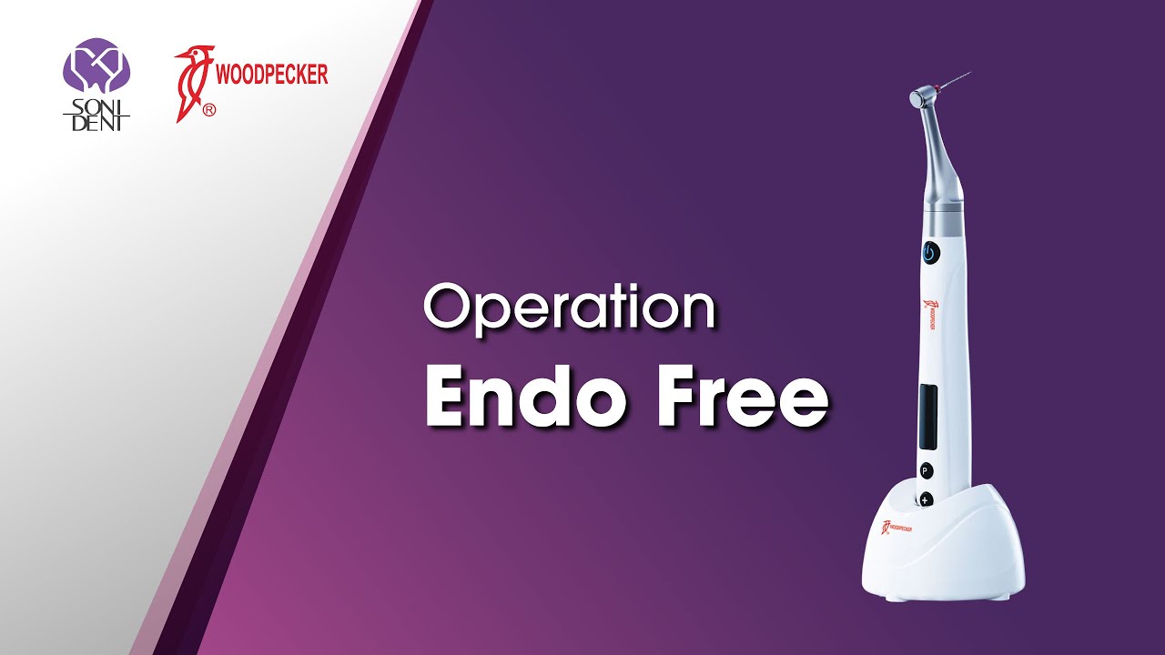 Woodpecker / DTE Endo Motor: Endo Free (Operation Demonstration) #woodpeckerdental #endodontics