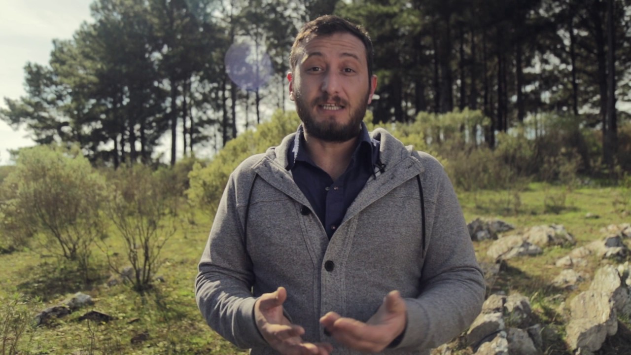 Los Tips del Ruso Sehabiaga - Laboratorios König