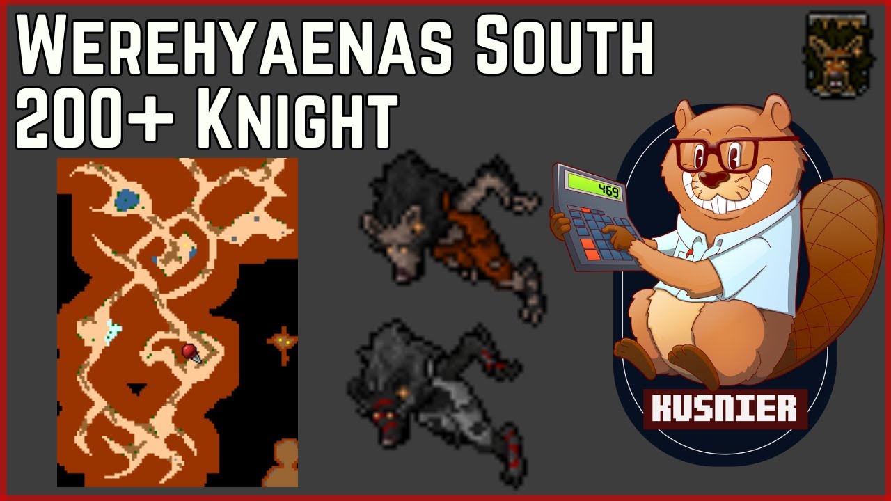Werehyaenas South | 200+ Knight | Tibia