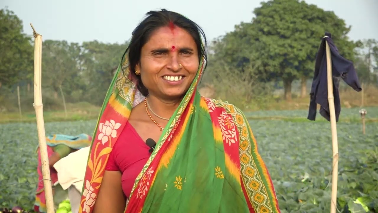 व्यवसायिक तरकारीखेतीले सन्जुकुमारी र मेहता परिवारमा ल्याएको खुसी,आर्थिक समृद्धीतिर लम्कदै...