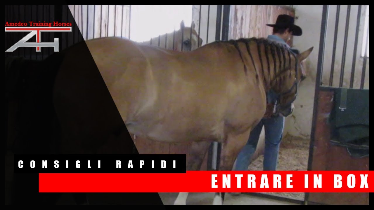 I CONSIGLI RAPIDI - Entrare in box