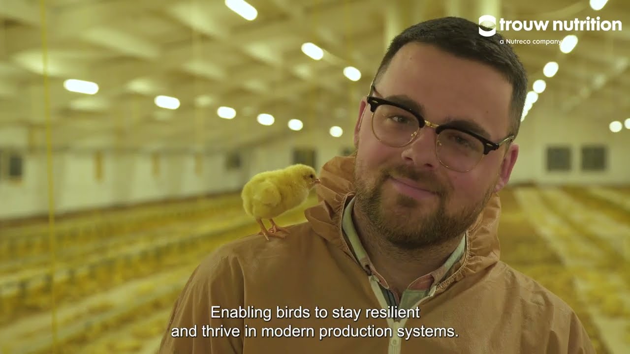 PhytoComplexes: Managing Hidden Inflammation in Poultry