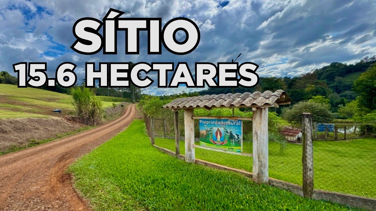 SÍTIO A VENDA NO OESTE DE SANTA CATARINA 15.6 HECTARES CASA LAVOURA ÁGUA R$1.69MI