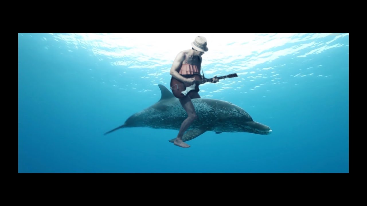 Bosco Rogers - All Wet (Official Video)