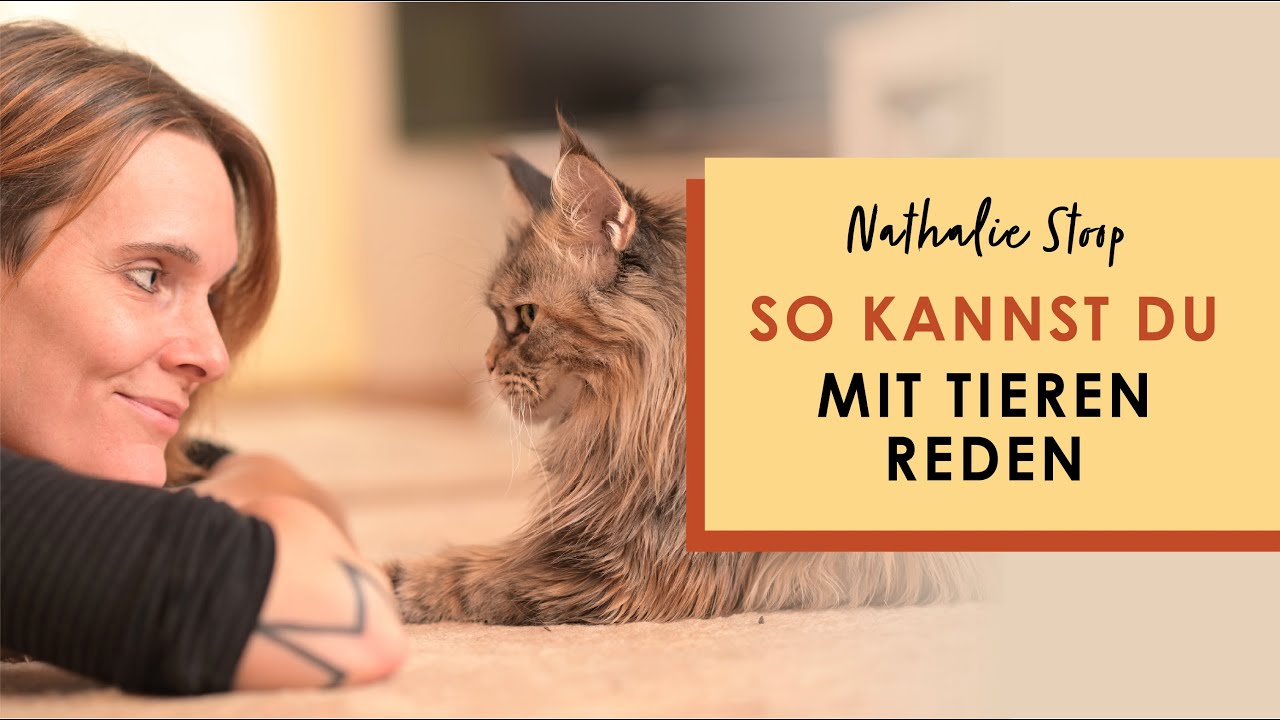 Die Antworten von Tieren 1:1 verstehen⎜Tierkommunikation⎜Nathalie Stoop