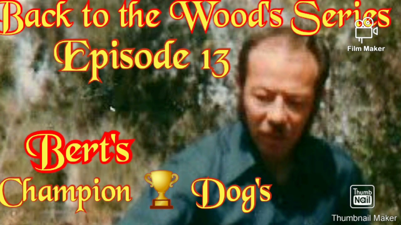 Back to the Wood's Series Episode 13