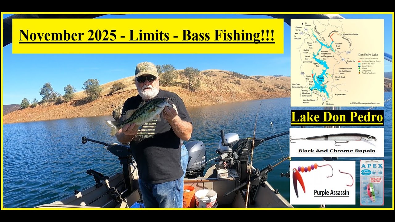 Lake Don Pedro Bass Fishing - November 2025