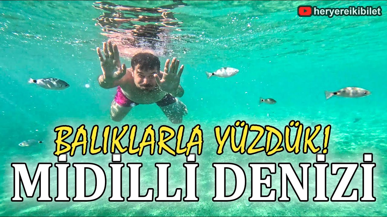 Midilli'nin Muhteşem Denizi ve Sualtı Çekimlerimiz #76 🇬🇷
