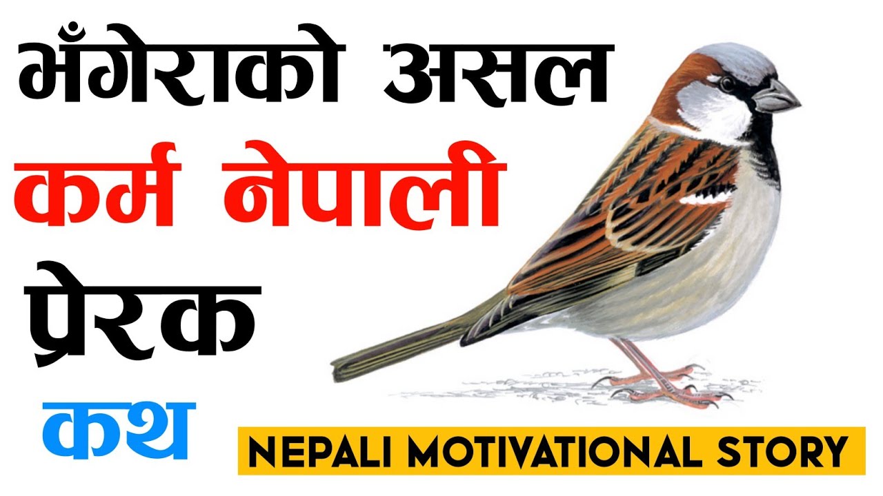 तपाईं एक्लै भए पनि असल कर्म गर्न नछोड्नुहोस्। Nepali Inspiring Story | New Nepali Motivational Story