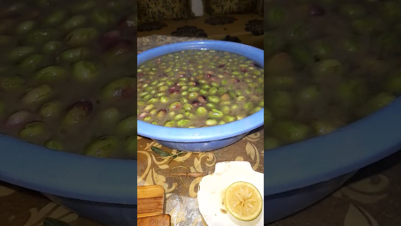 دخلو تشوفو طريقتي ف تهراس زيتون مسلالة و لا تنسو الاشتراك في القناة فضلا وليس أمرا 🙏
