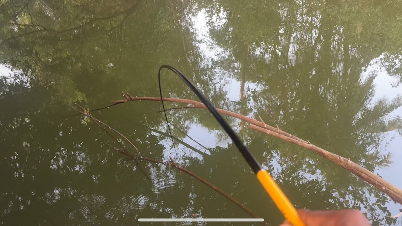 കരിമീൻ ഫിഷിംഗ് 🎣🎉