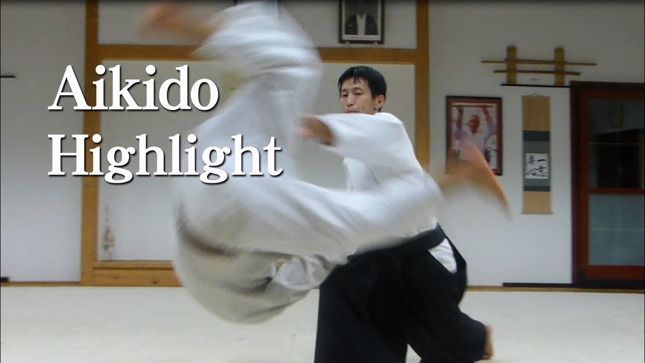 Aikido Highlight - Shirakawa Ryuji sensei （Hungary）